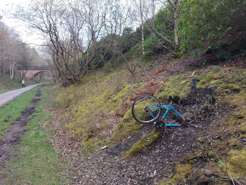 On the green sloped banking purtrudes the rear half of a blue bike.  This is part of the transpennine trail art sculptures dotted along the route.