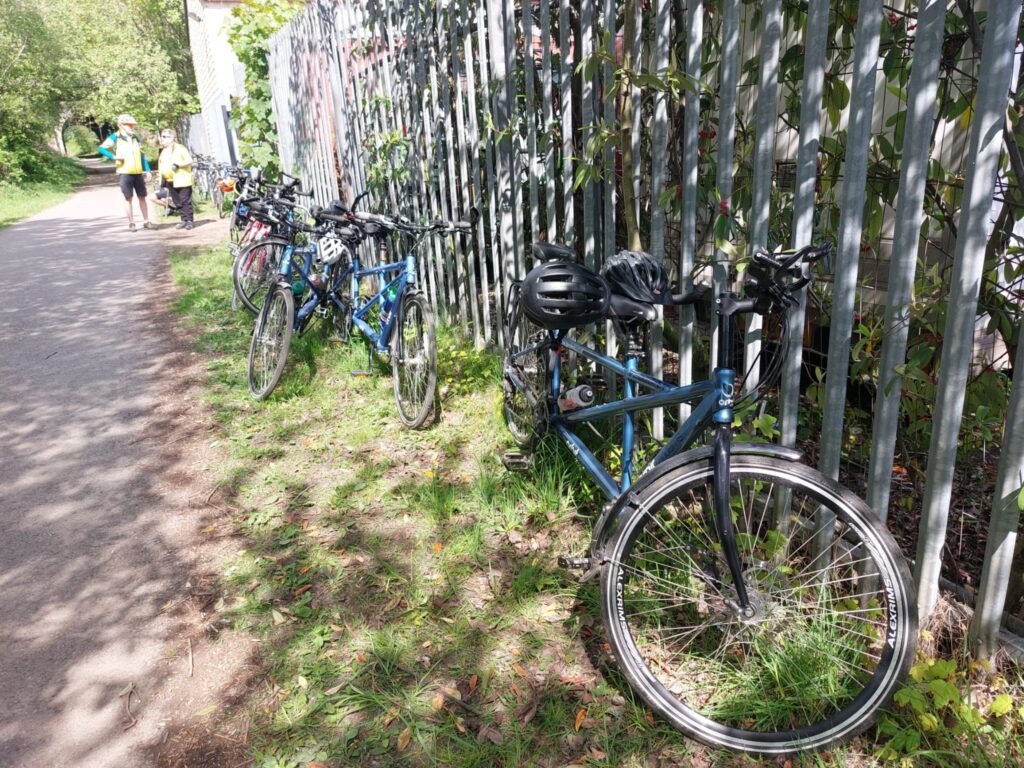 Tandems lent up against a railings in dappled sunshine.