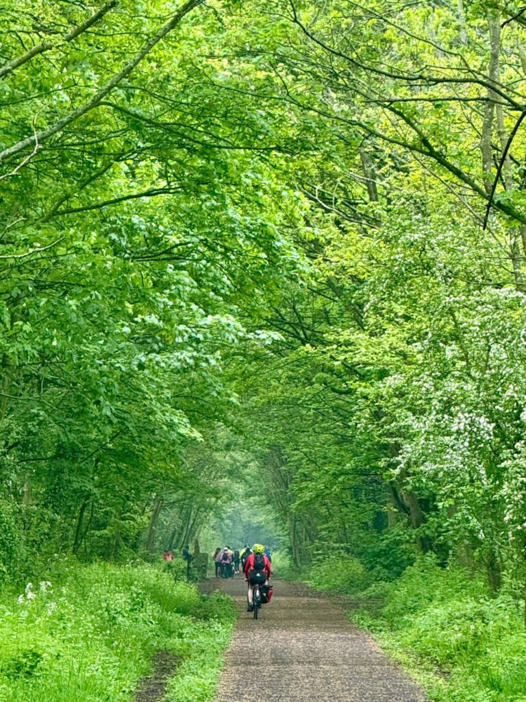 A very long and green leafy tree tunnel with Tandem Trekkers riding on the path in the middle off into the distance