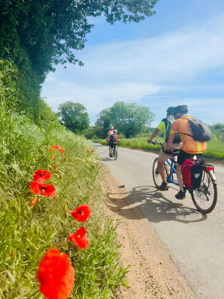 Two tandems cycle on a quiet dusty road in bright sunshine. The foreground shows the brigh red poppies that are growing in the tall grass at the side of the road.